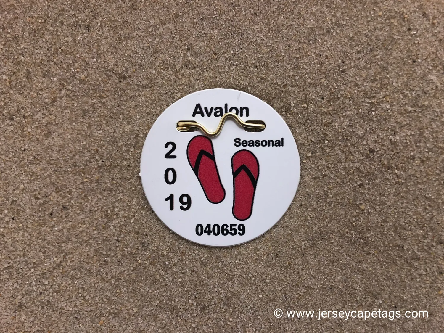 Avalon 2019 Seasonal Beach Tag