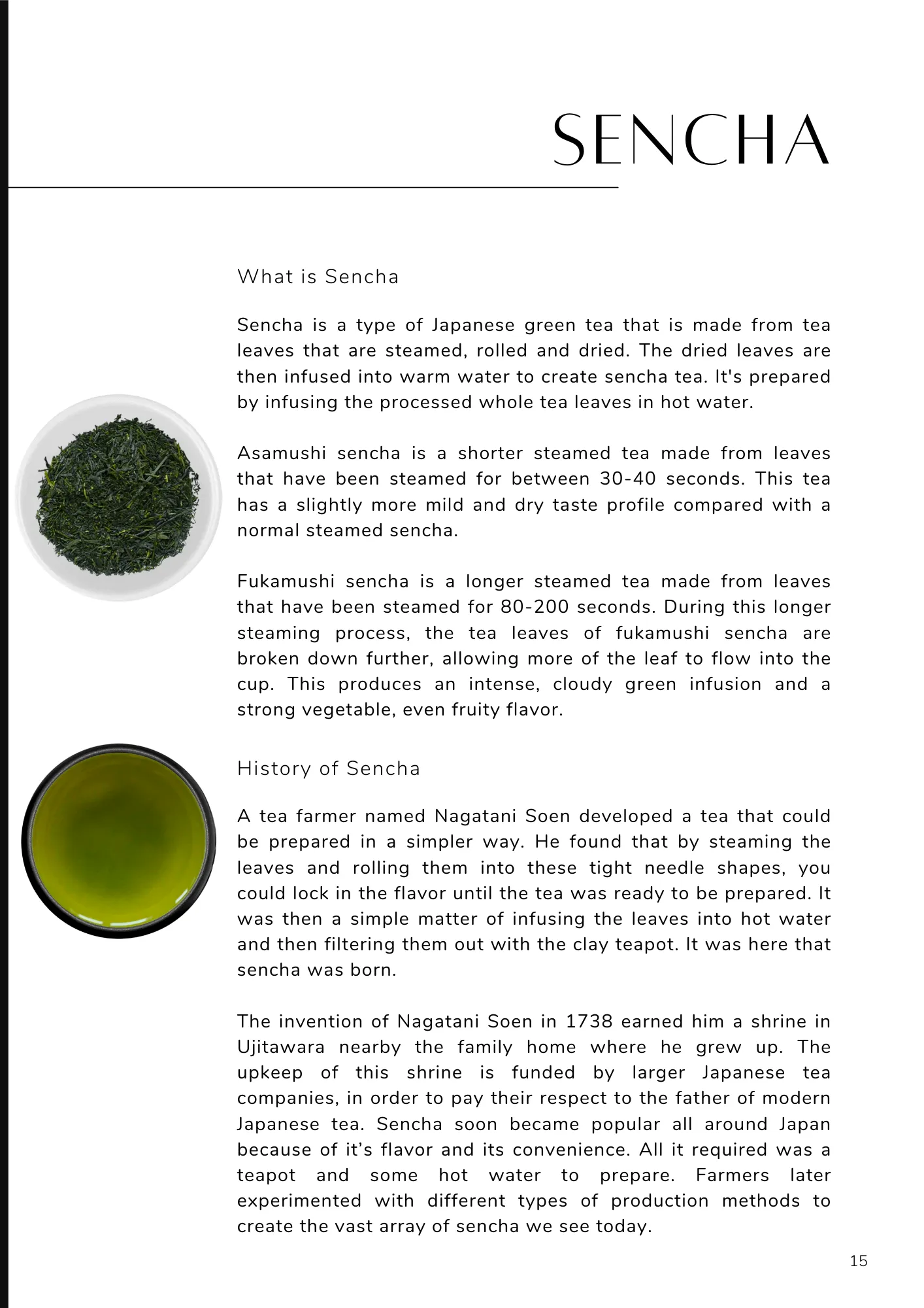 Unlocking the Secrets of Japanese Green Tea: The Ultimate Guide to Authentic Flavors and Benefits